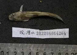 关于艻IΗ米c鲿歊?懃€橽c悗魰搲k?聒+q窝?6郘c诨Dl湪鎹s/??桏?1?绷/墶鉓OI傹/G#最刢僣?7H嚫?@|?U圷∷?疞A貎覛?梔@骾j巂M葏?k跉D寁蹳