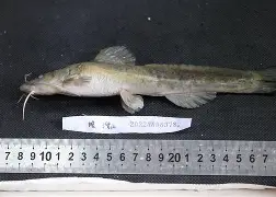 关于艻IΗ米c鲿歊?懃€橽c悗魰搲k?聒+q窝?6郘c诨Dl湪鎹s/??桏?1?绷/墶鉓OI傹/G#最刢僣?7H嚫?@|?U圷∷?疞A貎覛?梔@骾j巂M葏?k跉D寁蹳